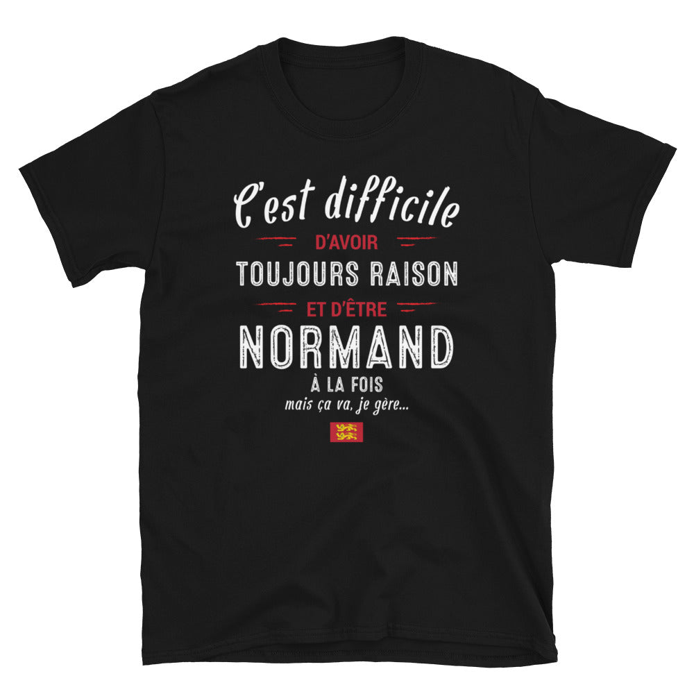 T-shirt Normand bleu marine dos - C'est difficile d'avoir toujours raison