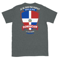 Thumbnail for T-shirt parfait-dominicain bleu marine - Je ne suis pas parfait mais