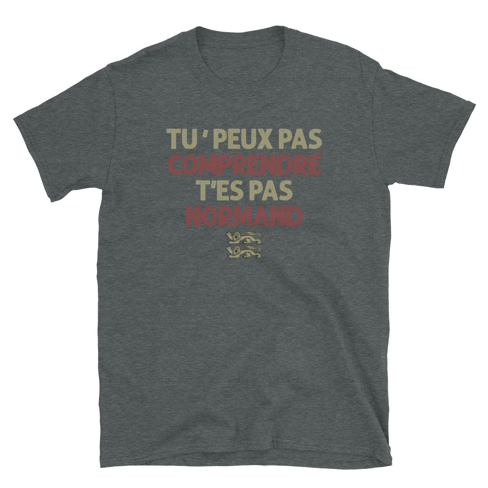 T-shirt Normand gris foncé dos - Tu ne peux pas comprendre