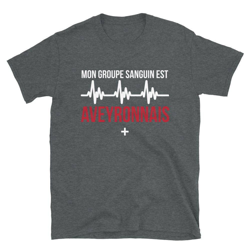 T-shirt Aveyron gris foncé chiné dos - Mon groupe sanguin est Aveyronnais plus
