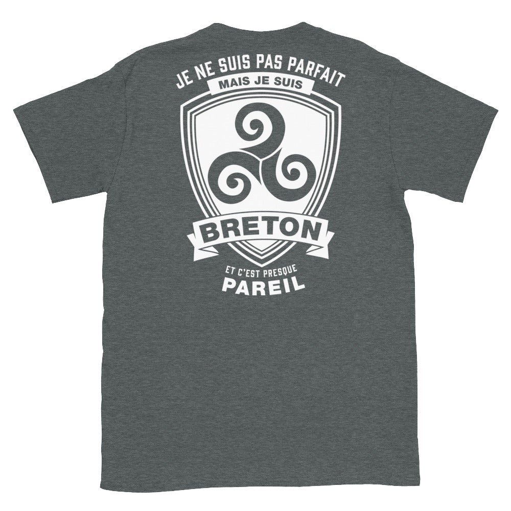 T-shirt Bretagne gris foncé - Je ne suis pas parfait mais je suis breton