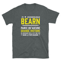 Thumbnail for T-shirt Béarn gris foncé - Grande histoire à prendre avec humour