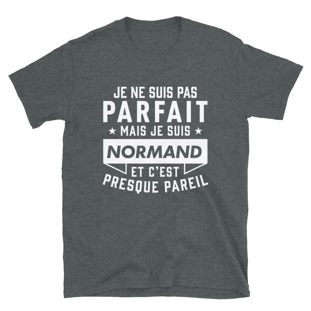 T-shirt Normand gris foncé - Fierté et humour local