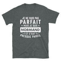 Thumbnail for T-shirt Normand gris foncé - Fierté et humour local