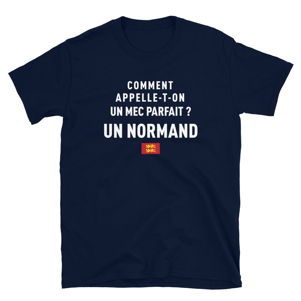 Un mec parfait ? Un Normand - T-shirt Standard - Ici & Là - T-shirts & Souvenirs de chez toi