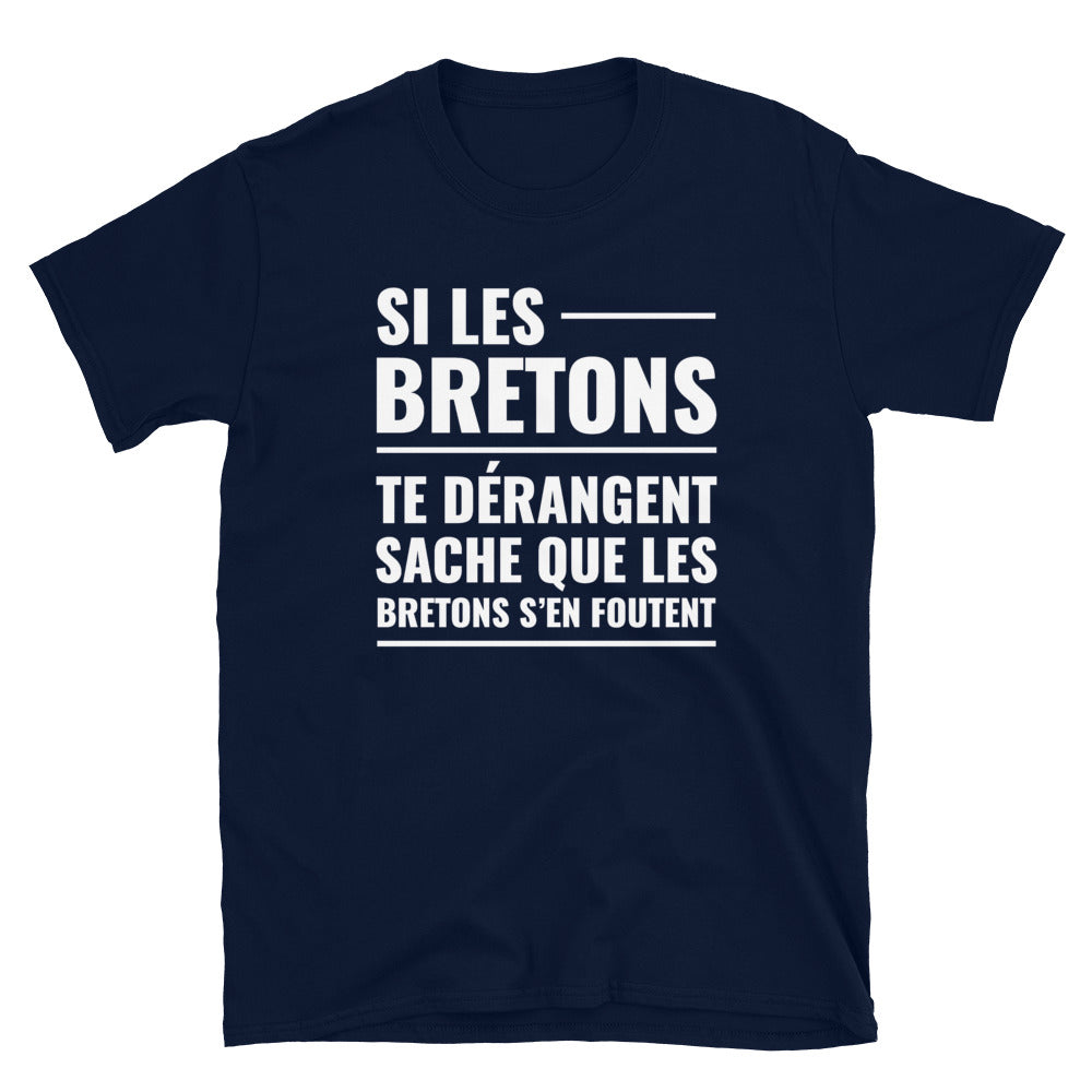T-shirt Bretagne gris sport - Les Bretons s'en foutent