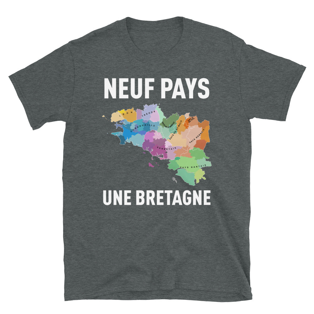 T-shirt Bretagne gris foncé dos - Fierté des Neuf Pays