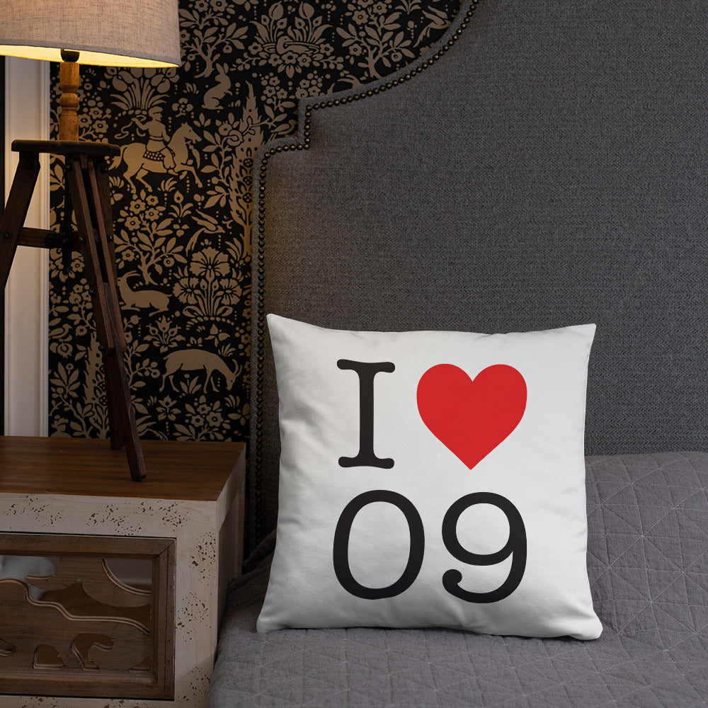 Coussin décoratif Ariège NY style - accent doux pour votre pièce