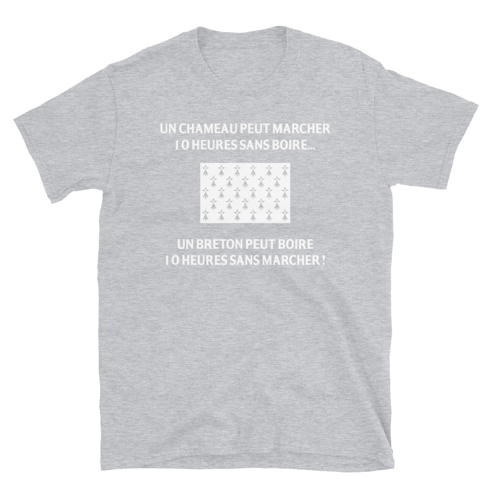 Breton 10 heures sans marcher - T-shirt Standard - Ici & Là - T-shirts & Souvenirs de chez toi