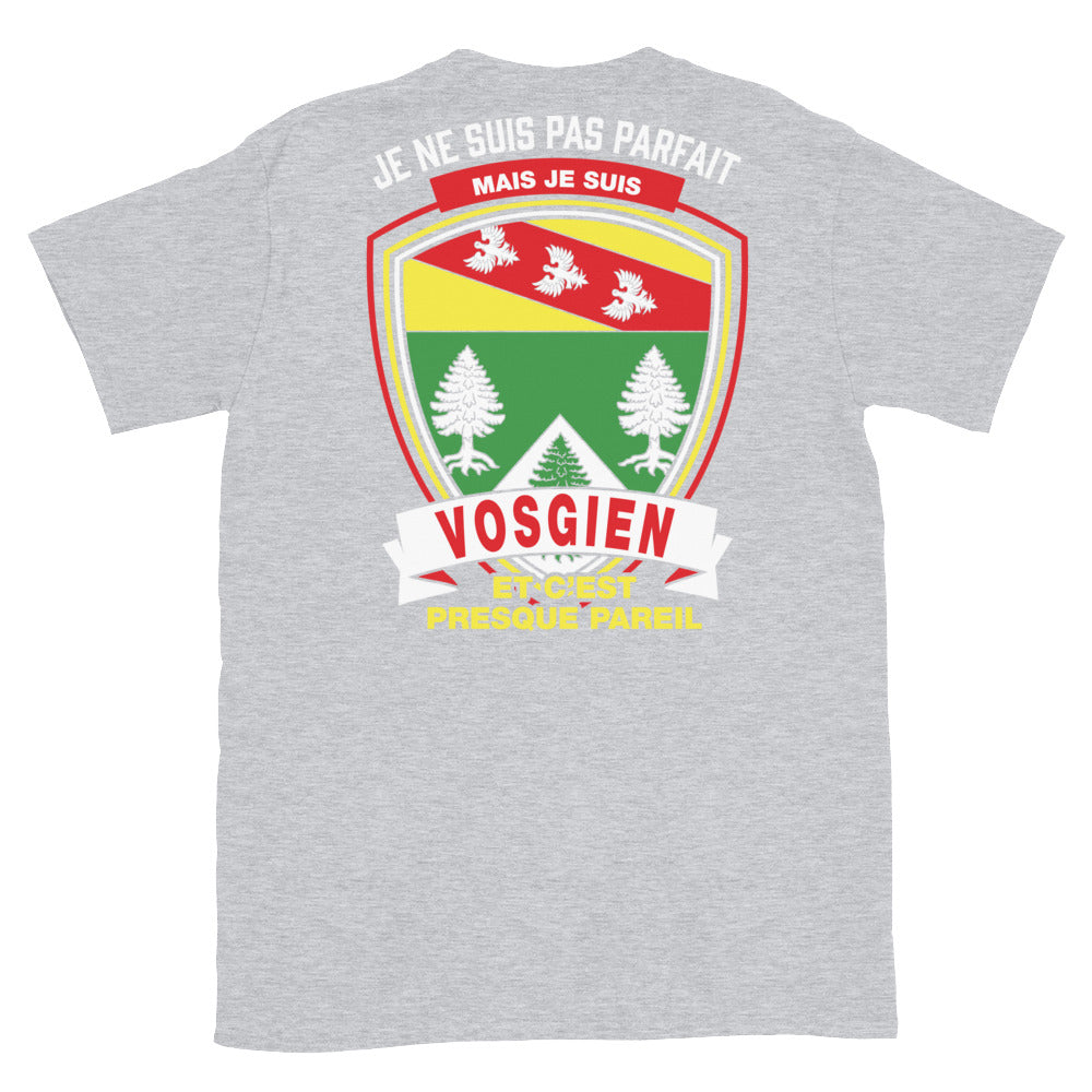 T-shirt Vosgien gris foncé dos - Je ne suis pas parfait mais vosgien