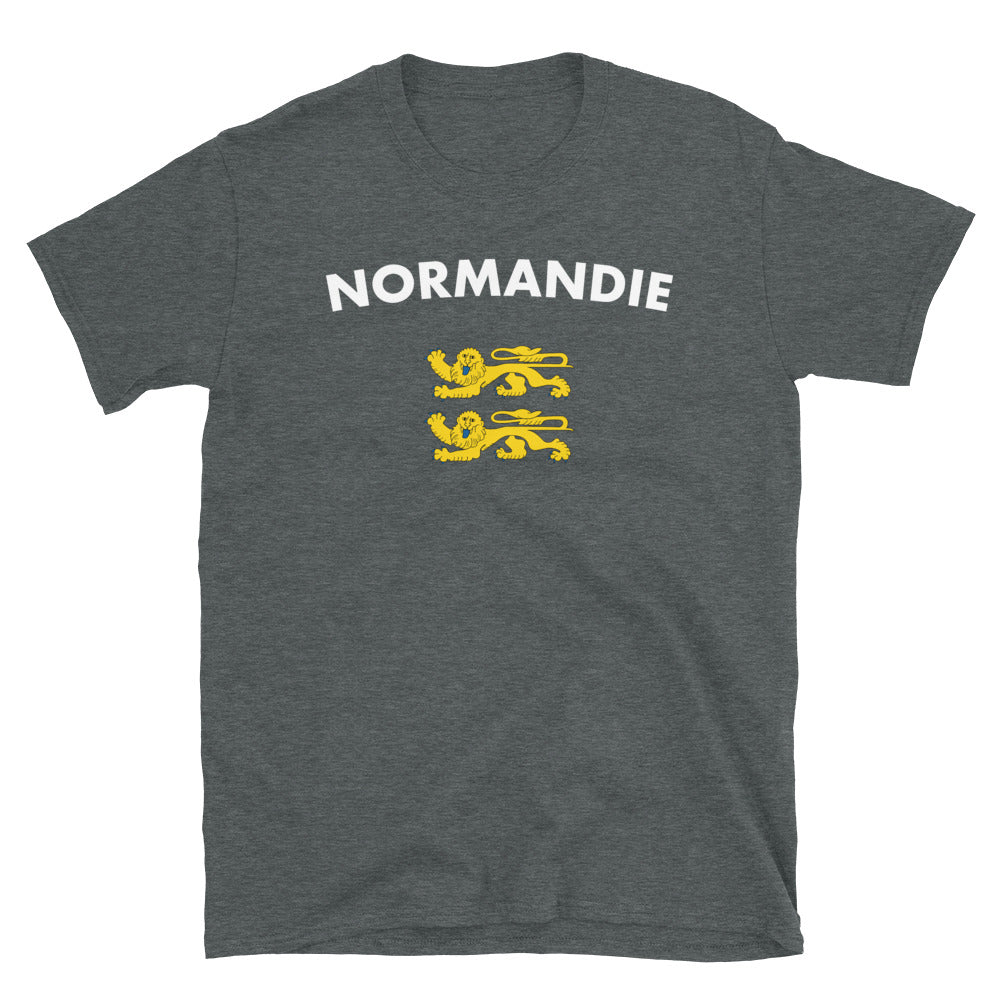 T-shirt Normandie gris foncé chiné dos - Deux lions léopardés humoristiques