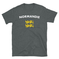 Thumbnail for T-shirt Normandie gris foncé chiné dos - Deux lions léopardés humoristiques