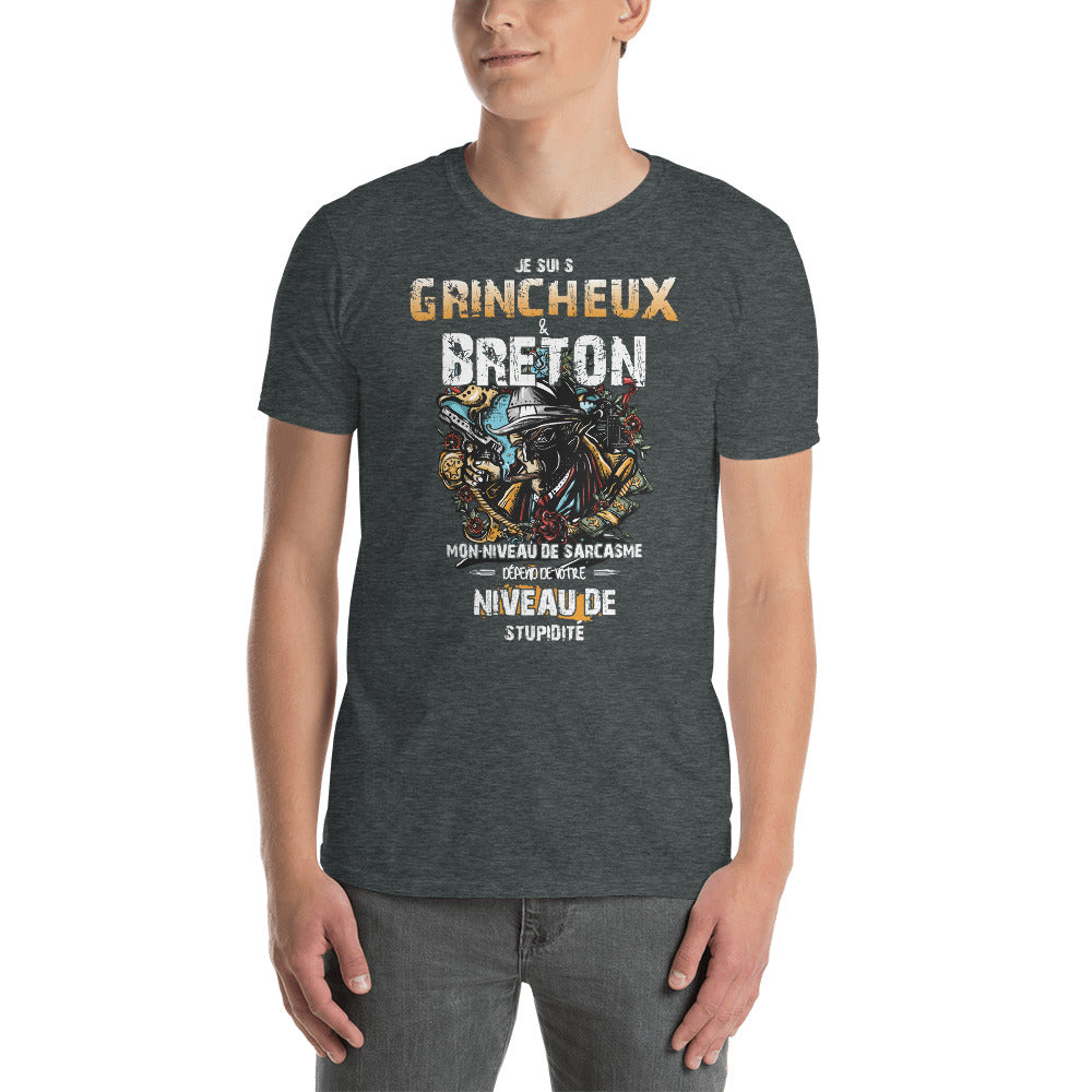 T-shirt Bretagne noir dos - Je suis grincheux et breton