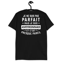 Thumbnail for T-shirt Aveyron gris foncé dos - Je ne suis pas parfait mais Aveyronnais
