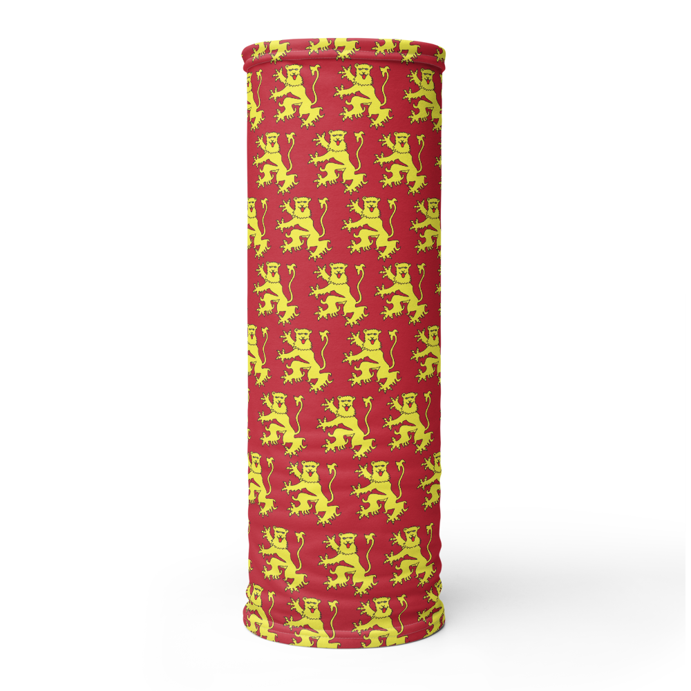 Cache-cou Aveyron - Blason aveyronnais, accessoire tendance