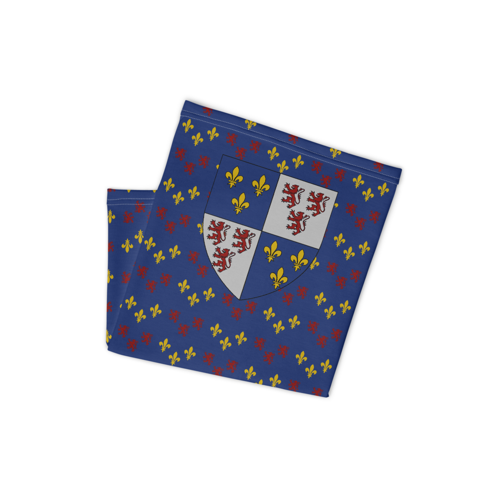 Cache-cou Picard noir - Motif drapeau picard