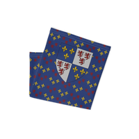 Thumbnail for Masque Picard motif - Cache-cou - Bandeau - Ici & Là - T-shirts & Souvenirs de chez toi