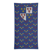 Thumbnail for Cache-cou Picard noir - Motif drapeau picard