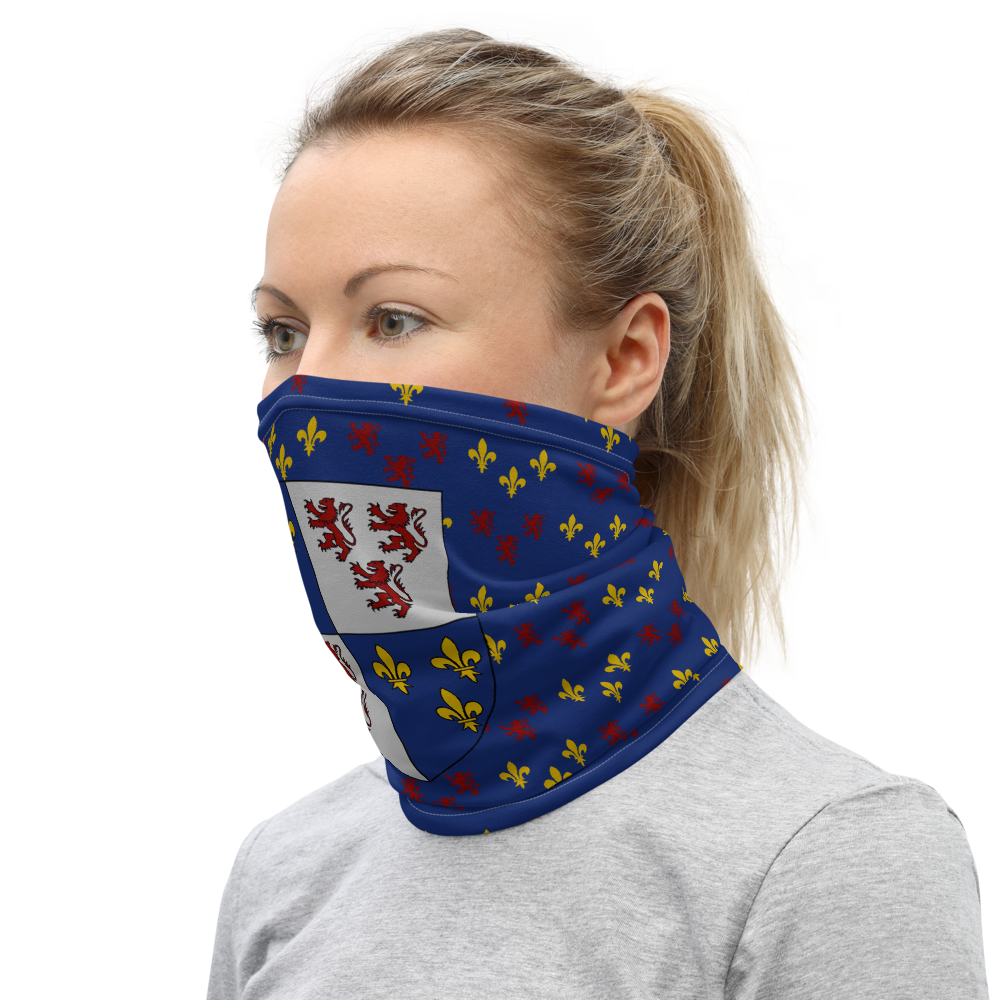 Masque Picard motif - Cache-cou - Bandeau - Ici & Là - T-shirts & Souvenirs de chez toi