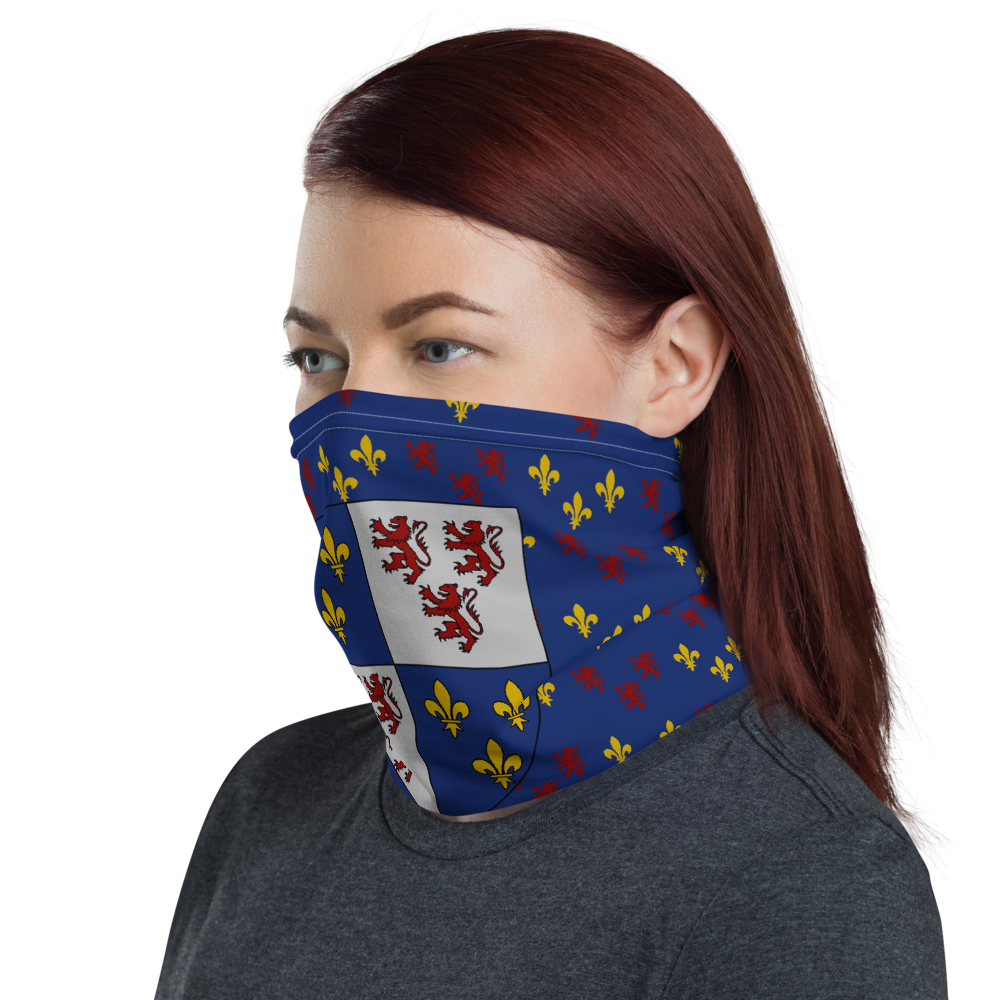 Masque Picard motif - Cache-cou - Bandeau - Ici & Là - T-shirts & Souvenirs de chez toi