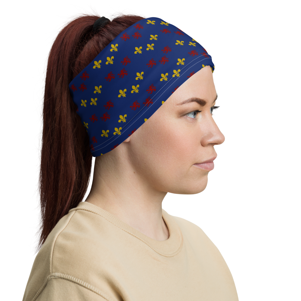 Masque Picard motif - Cache-cou - Bandeau - Ici & Là - T-shirts & Souvenirs de chez toi