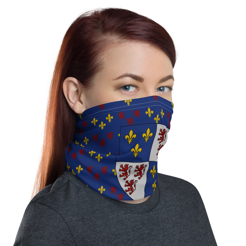 Masque Picard motif - Cache-cou - Bandeau - Ici & Là - T-shirts & Souvenirs de chez toi