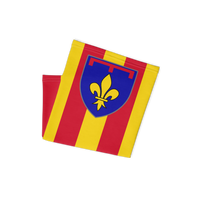 Thumbnail for Cache-cou Provence - Écusson moderne sur drapeau ancien dos