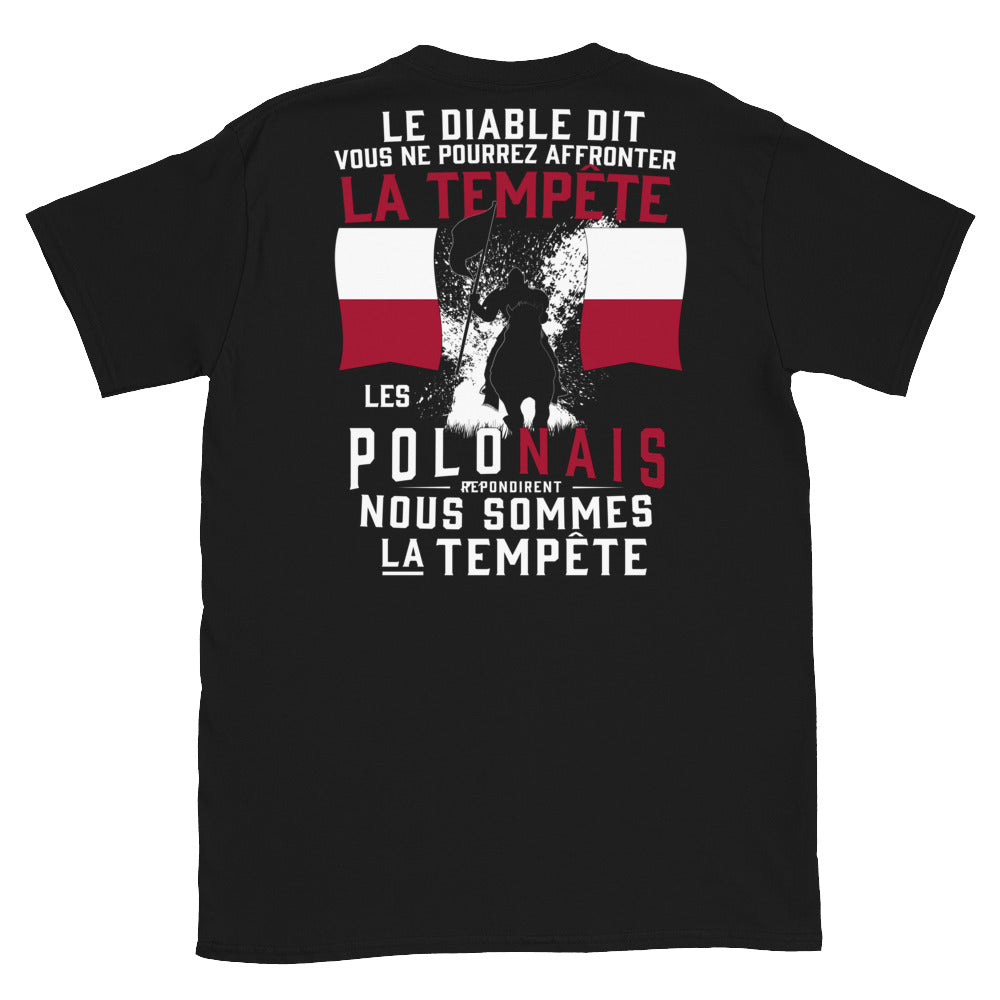 T-shirt Pologne noir - Les Polonais répondirent : tempête
