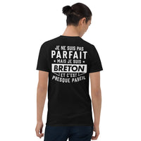 Thumbnail for T-shirt Bretagne gris foncé dos - Je ne suis pas parfait mais