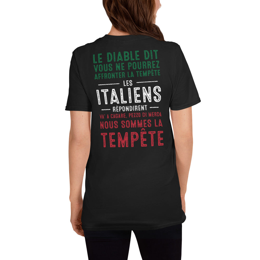 T-shirt Italie gris foncé chiné - Le Diable et la tempête humoristique