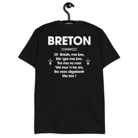 Thumbnail for Breton - Hymne breton - T-shirt standard - Ici & Là - T-shirts & Souvenirs de chez toi