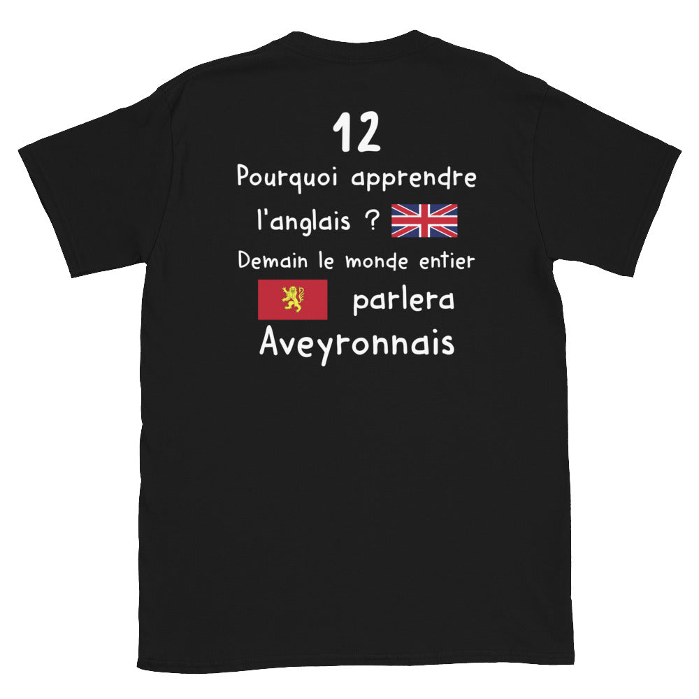 T-shirt Aveyron gris foncé chiné - Pourquoi apprendre l'anglais demain dos