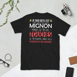 T-shirt Aveyron Saint Valentin - T-shirt standard