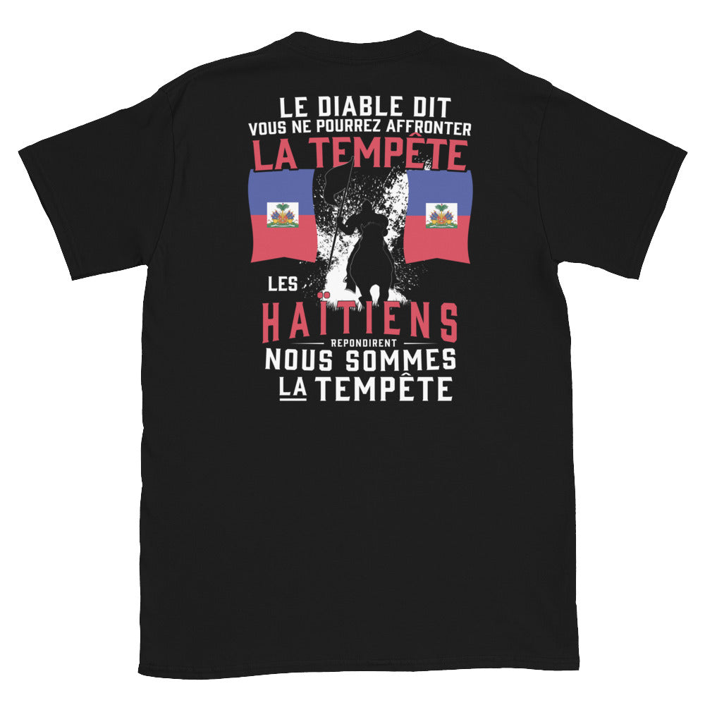 T-shirt Haïti gris foncé chiné dos - Les Haïtiens répondirent nous somme la tempête