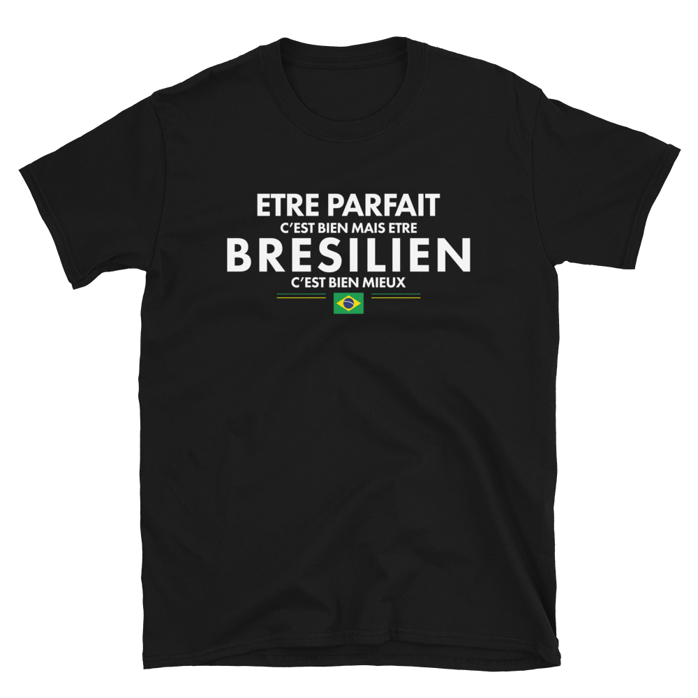 T-shirt Brésil bleu marine dos - Être Parfait c'est bien être Brésilien c'est mieux