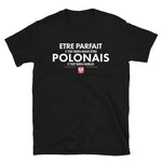 être Parfait c'est bien être Polonais c'est mieux - T-shirt standard - Ici & Là - T-shirts & Souvenirs de chez toi