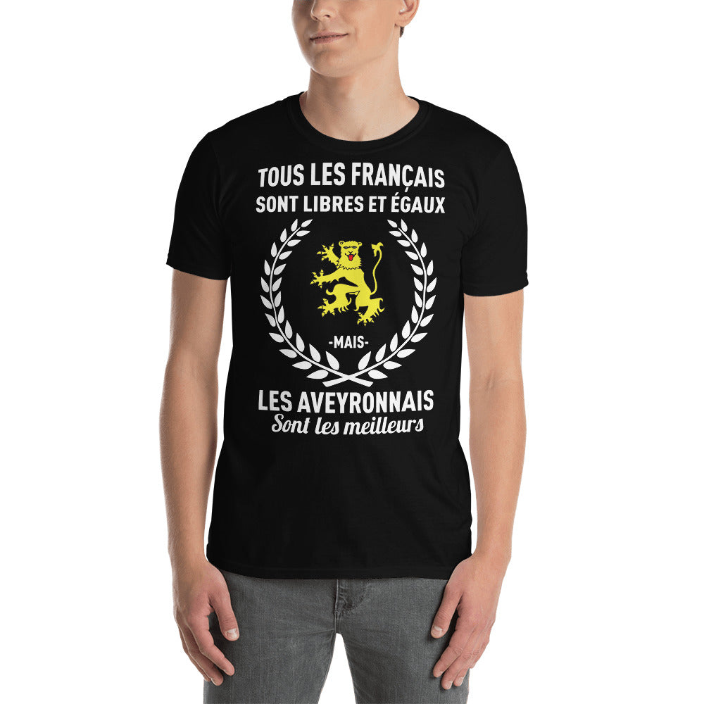 T-shirt Aveyron gris foncé chiné - Libres et égaux avec fierté
