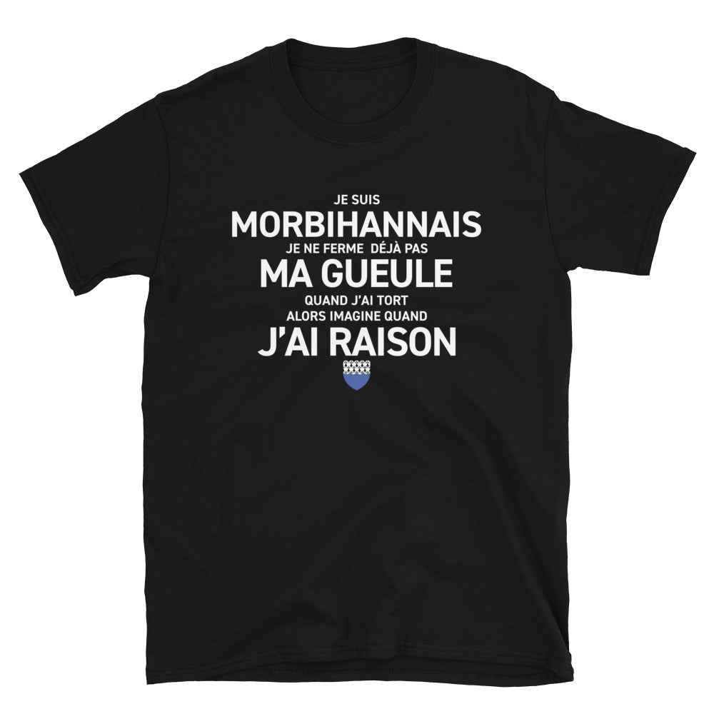 T-shirt Bretagne bleu marine - Morbihannais avec humour