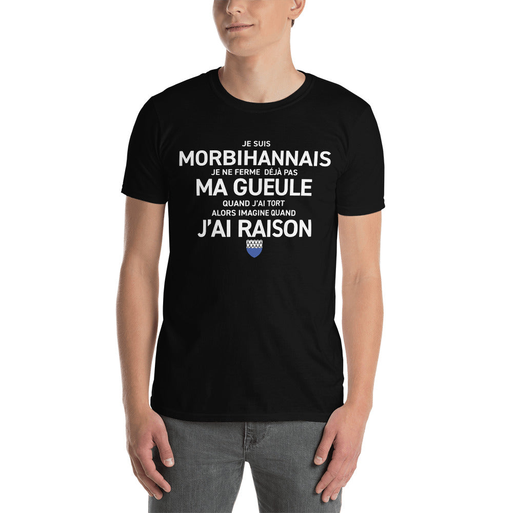 T-shirt Bretagne gris foncé chiné - Morbihannais avec humour