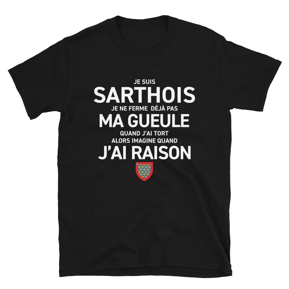 T-shirt Sarthois bleu marine - design humoristique