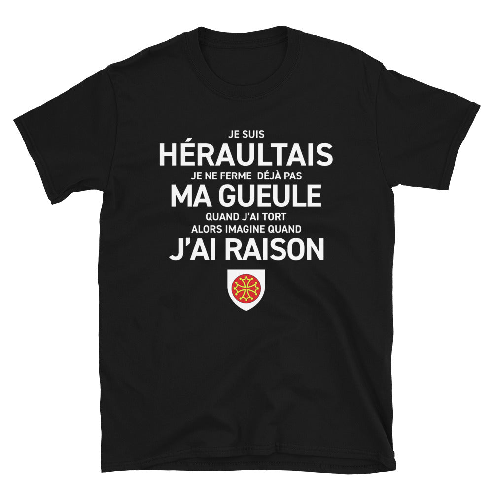 T-shirt Hérault bleu marine - Je suis Héraultais je ne ferme pas ma gueule