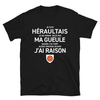 Thumbnail for T-shirt Hérault bleu marine - Je suis Héraultais je ne ferme pas ma gueule
