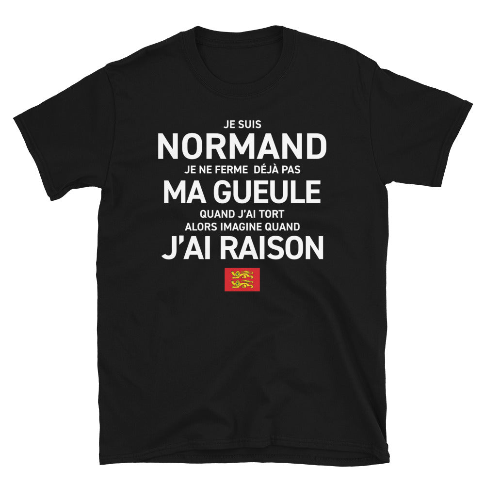 T-shirt Normand bleu marine - Je ne ferme pas ma gueule