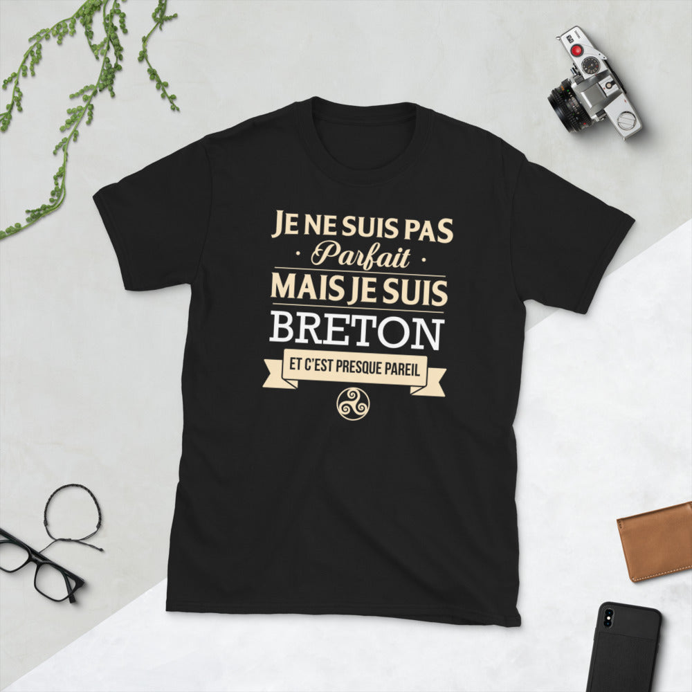T-shirt Bretagne noir - Je ne suis pas parfait mais fier