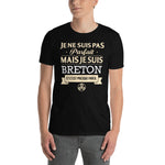 Je ne suis pas parfait mais je suis Breton - T-shirt standard - Ici & Là - T-shirts & Souvenirs de chez toi