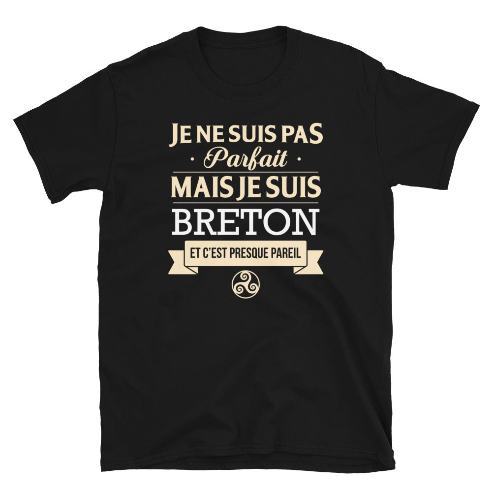 T-shirt Bretagne gris foncé chiné - Je ne suis pas parfait mais fier