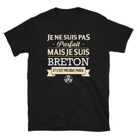 Thumbnail for T-shirt Bretagne gris foncé chiné - Je ne suis pas parfait mais fier