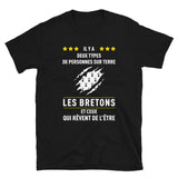 Bretons, Il y a deux types de personnes - T-shirt standard - Ici & Là - T-shirts & Souvenirs de chez toi