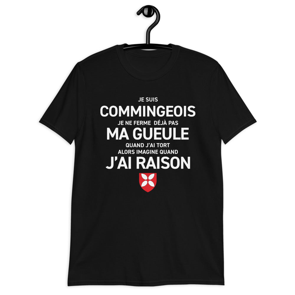 Commingeois, je ne ferme pas ma gueule - T-shirt humour standard - Haute-Garonne - Ici & Là - T-shirts & Souvenirs de chez toi