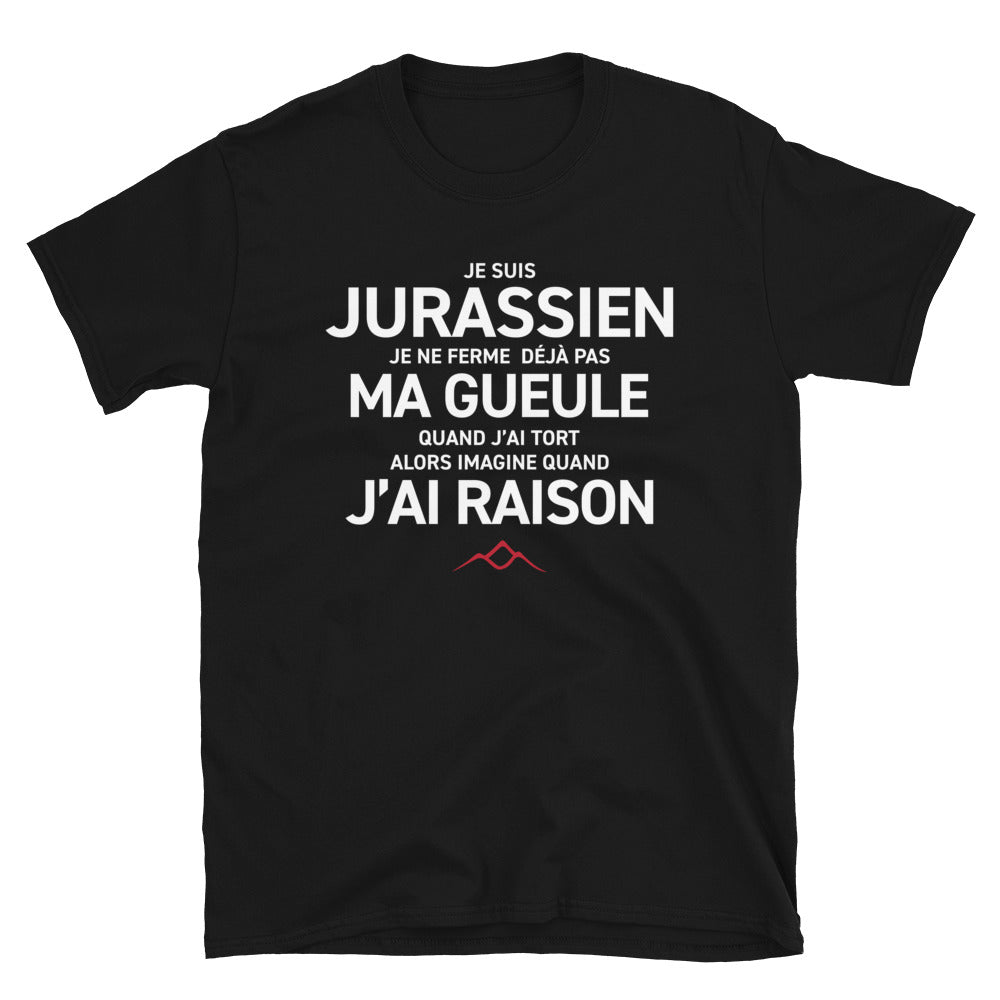T-shirt Jura gris foncé chiné - Je ne ferme pas ma gueule